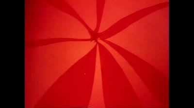 Le avventure dell Ape Magà - 37 - Buona fortuna piccoli miei