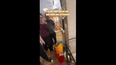 CACHORRINHO LINDO  PARA ADOÇAO